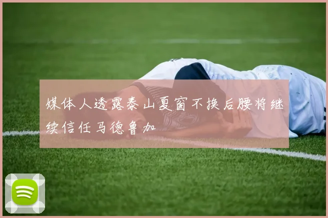 媒体人透露泰山夏窗不换后腰将继续信任马德鲁加